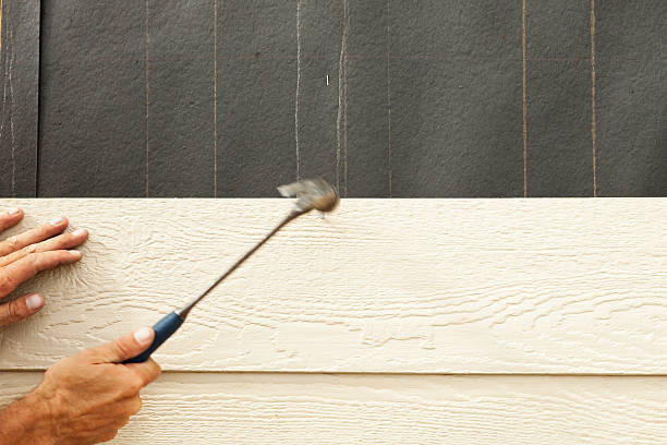 Best Stucco Siding  in Muskego, WI